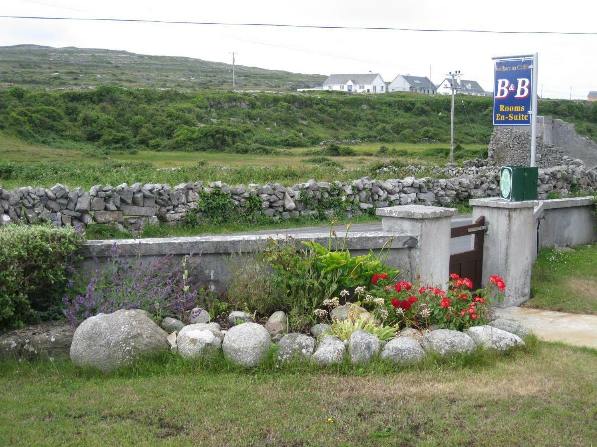 Radharc Na Ceibhe B&B H91 V0Y3 Kilronan  Exteriör bild